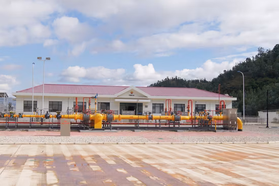 GB 標準 CNG 減圧プライデバイス、スティンキーおよび計量機能付き